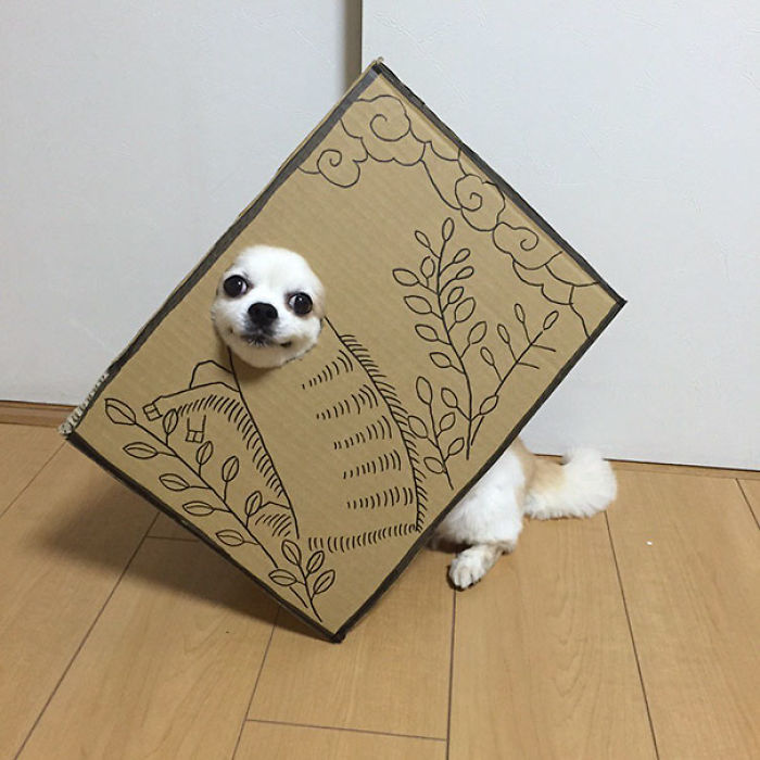 Japanese Woman Creates Hilarious Cardboard Cutouts With Her Dog (59 Pics)