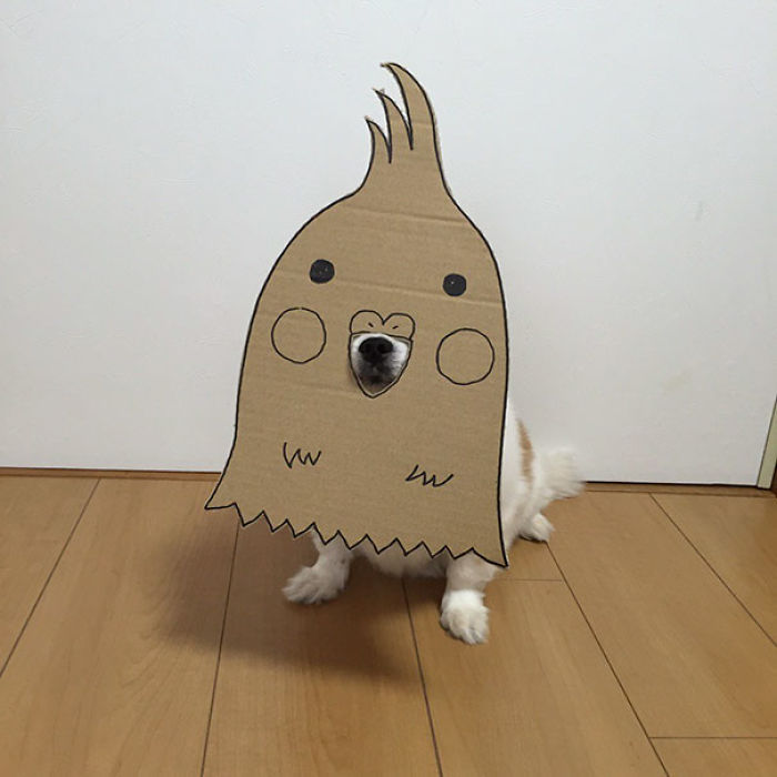Japanese Woman Creates Hilarious Cardboard Cutouts With Her Dog (59 Pics)