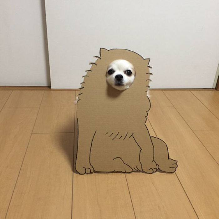 Japanese Woman Creates Hilarious Cardboard Cutouts With Her Dog (59 Pics)