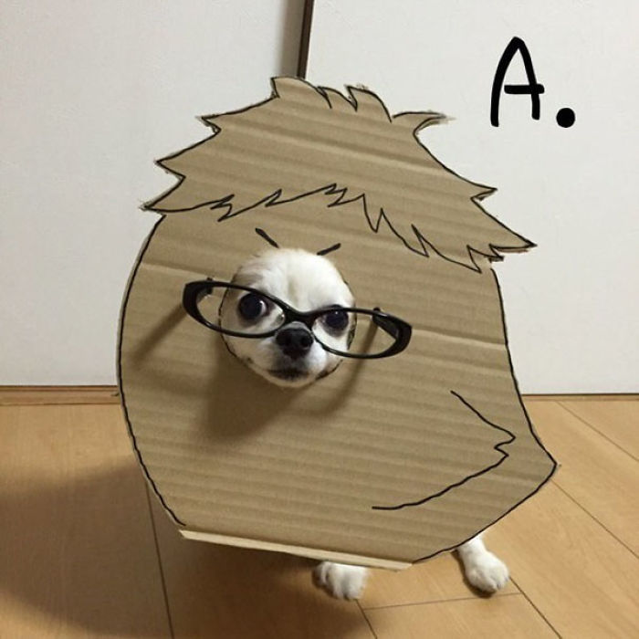 Japanese Woman Creates Hilarious Cardboard Cutouts With Her Dog (59 Pics)