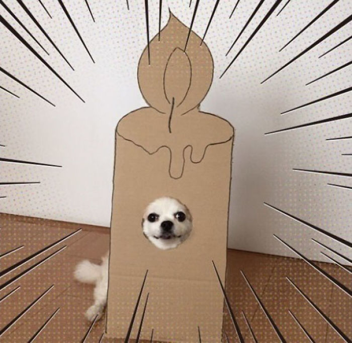 Japanese Woman Creates Hilarious Cardboard Cutouts With Her Dog (59 Pics)
