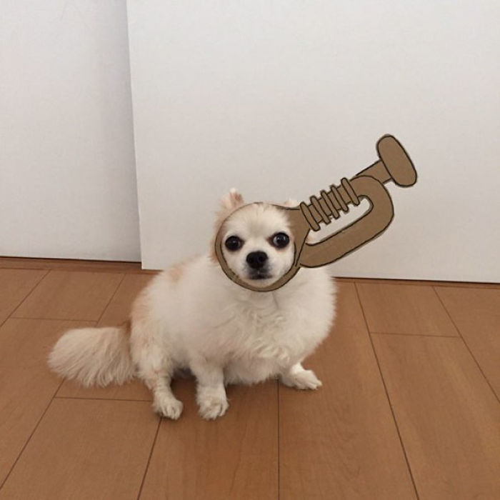 Japanese Woman Creates Hilarious Cardboard Cutouts With Her Dog (59 Pics)