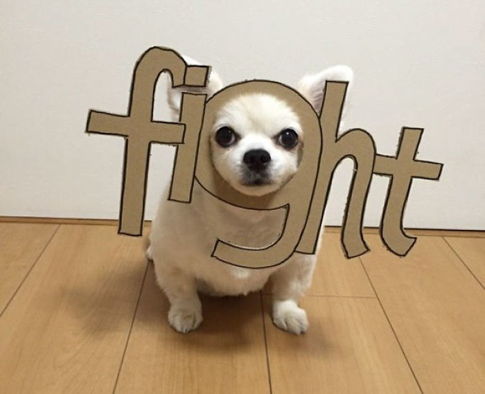 Japanese Woman Creates Hilarious Cardboard Cutouts With Her Dog (59 Pics)