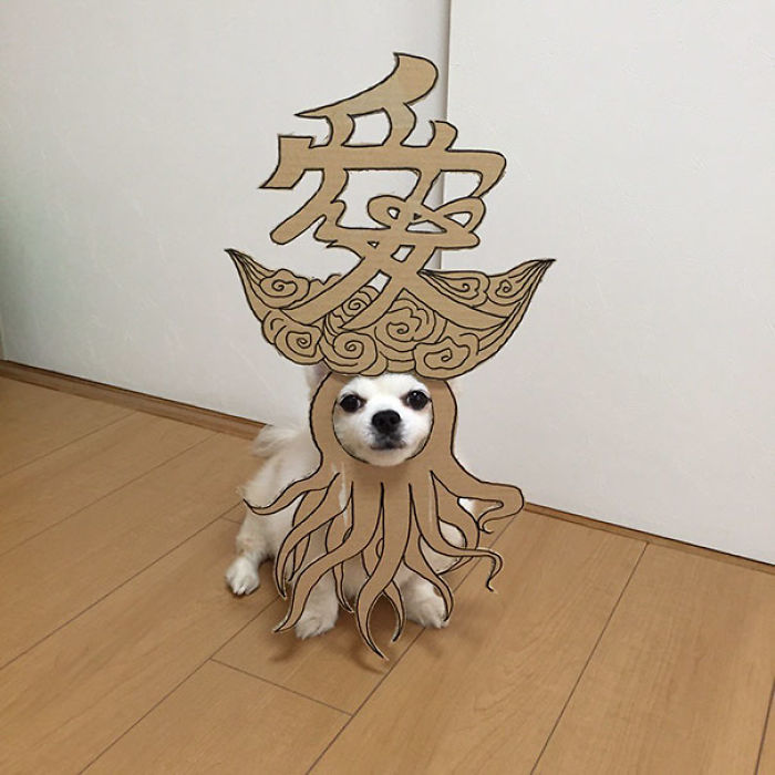 Japanese Woman Creates Hilarious Cardboard Cutouts With Her Dog (59 Pics)