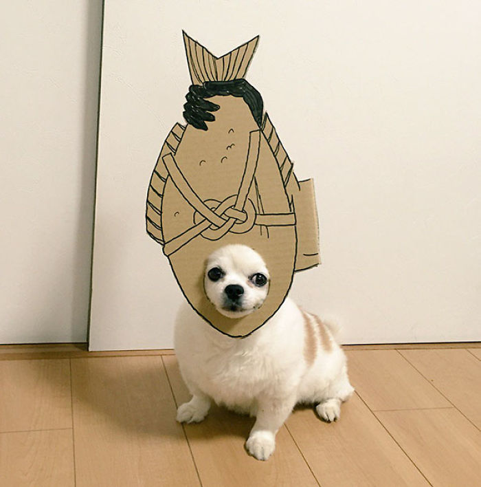 Japanese Woman Creates Hilarious Cardboard Cutouts With Her Dog (59 Pics)