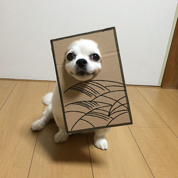 Japanese Woman Creates Hilarious Cardboard Cutouts With Her Dog (59 Pics)