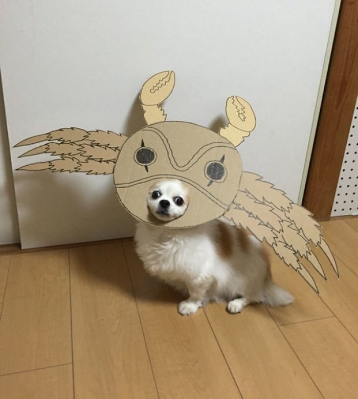 Japanese Woman Creates Hilarious Cardboard Cutouts With Her Dog (59 Pics)