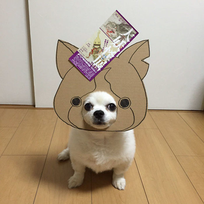 Japanese Woman Creates Hilarious Cardboard Cutouts With Her Dog (59 Pics)