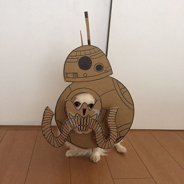 Japanese Woman Creates Hilarious Cardboard Cutouts With Her Dog (59 Pics)