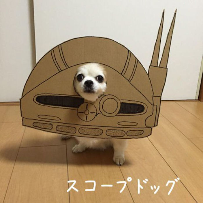 Japanese Woman Creates Hilarious Cardboard Cutouts With Her Dog (59 Pics)