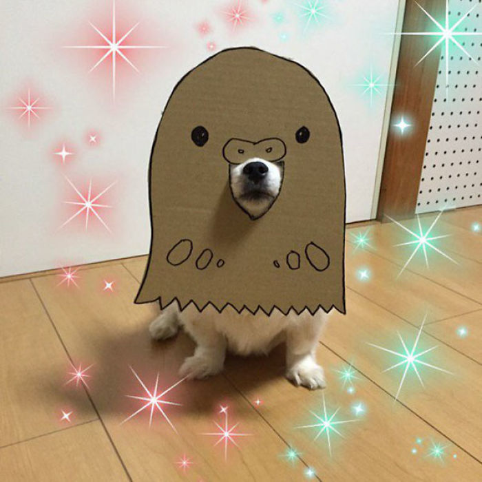 Japanese Woman Creates Hilarious Cardboard Cutouts With Her Dog (59 Pics)