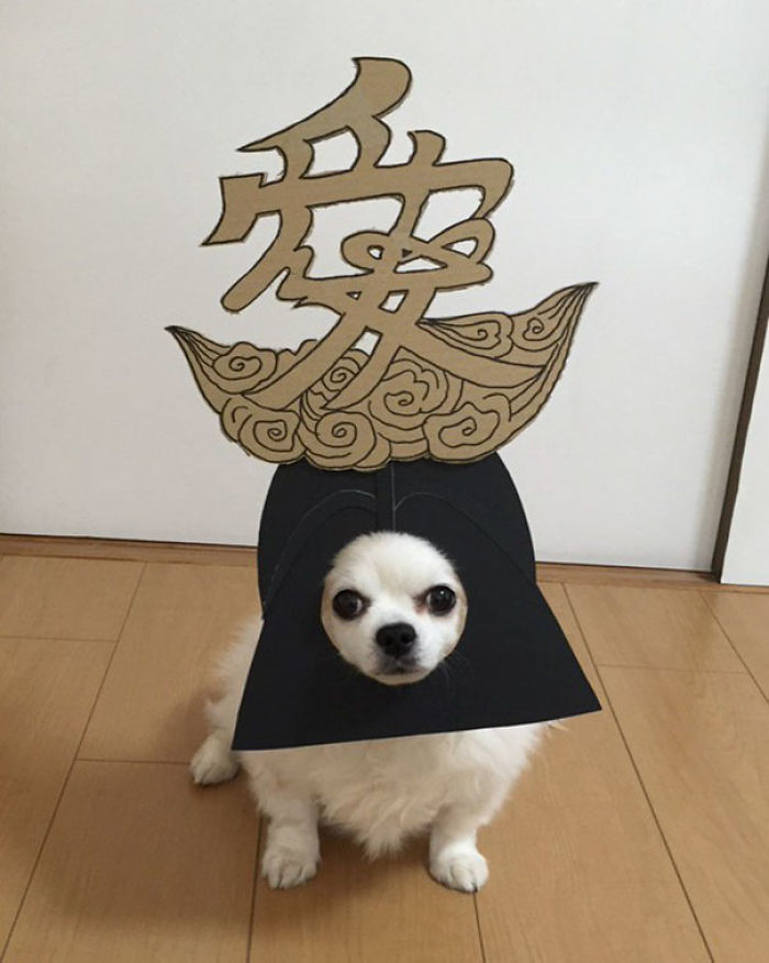 Japanese Woman Creates Hilarious Cardboard Cutouts With Her Dog (59 Pics)