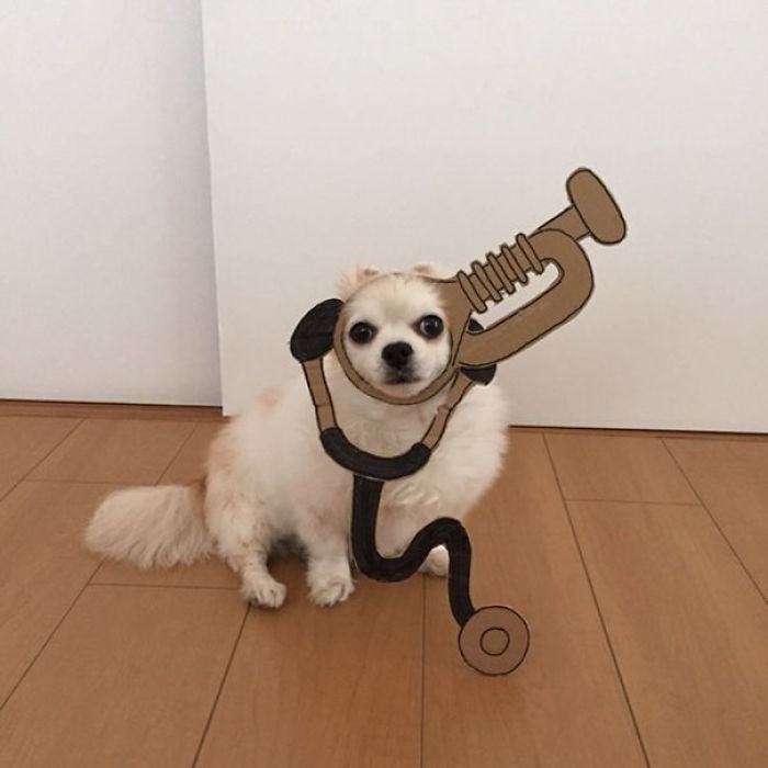 Japanese Woman Creates Hilarious Cardboard Cutouts With Her Dog (59 Pics)