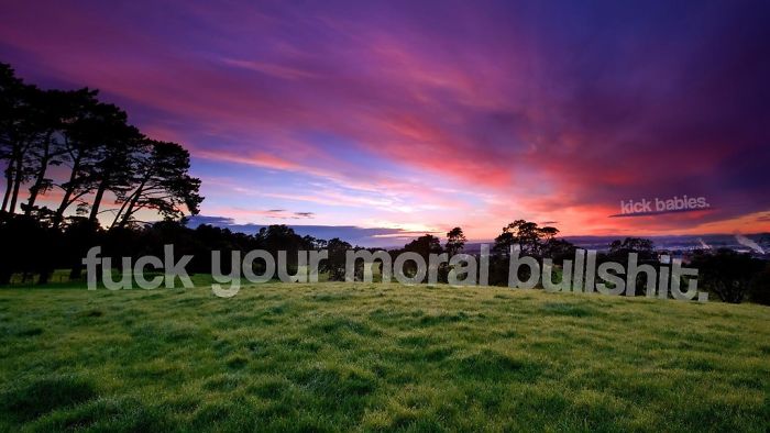 Someone Is Hiding Filthy Texts In Beautiful Wallpapers And It’s The Meanest Office Prank Ever (Warning: Strong Language) Someone Is Hiding Filthy Texts In Beautiful Wallpapers And It’s The Meanest Office Prank Ever (Warning: Strong Language)