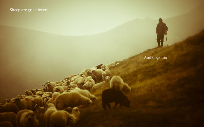 Someone Is Hiding Filthy Texts In Beautiful Wallpapers And It’s The Meanest Office Prank Ever (Warning: Strong Language) Someone Is Hiding Filthy Texts In Beautiful Wallpapers And It’s The Meanest Office Prank Ever (Warning: Strong Language)