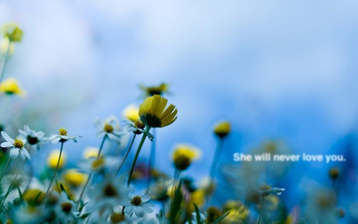 Someone Is Hiding Filthy Texts In Beautiful Wallpapers And It’s The Meanest Office Prank Ever (Warning: Strong Language) Someone Is Hiding Filthy Texts In Beautiful Wallpapers And It’s The Meanest Office Prank Ever (Warning: Strong Language)