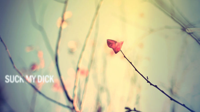 Someone Is Hiding Filthy Texts In Beautiful Wallpapers And It’s The Meanest Office Prank Ever (Warning: Strong Language) Someone Is Hiding Filthy Texts In Beautiful Wallpapers And It’s The Meanest Office Prank Ever (Warning: Strong Language)