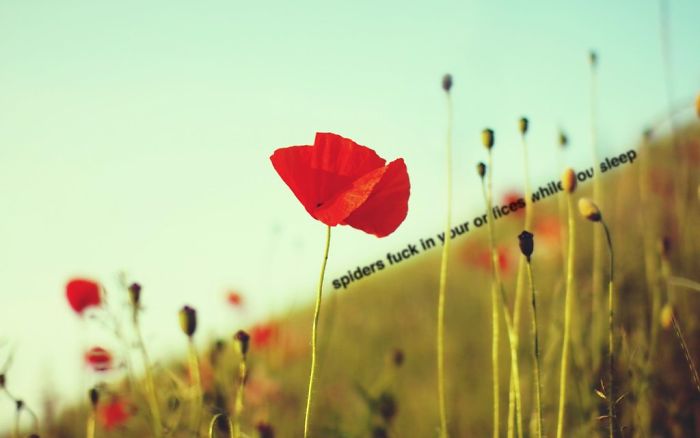 Someone Is Hiding Filthy Texts In Beautiful Wallpapers And It’s The Meanest Office Prank Ever (Warning: Strong Language) Someone Is Hiding Filthy Texts In Beautiful Wallpapers And It’s The Meanest Office Prank Ever (Warning: Strong Language)