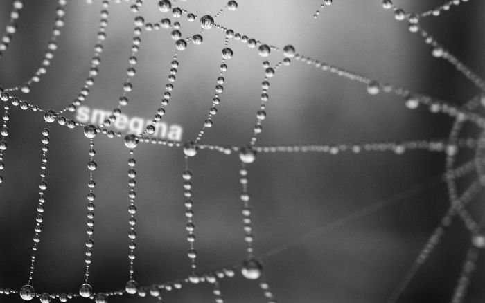 Someone Is Hiding Filthy Texts In Beautiful Wallpapers And It’s The Meanest Office Prank Ever (Warning: Strong Language) Someone Is Hiding Filthy Texts In Beautiful Wallpapers And It’s The Meanest Office Prank Ever (Warning: Strong Language)