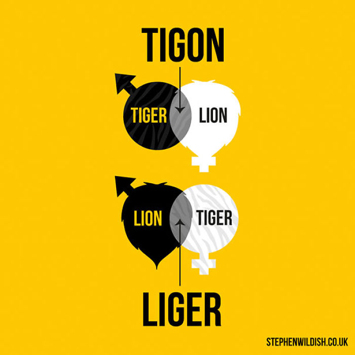 103 Simple But Clever Charts And Infographics By Stephen Wildish