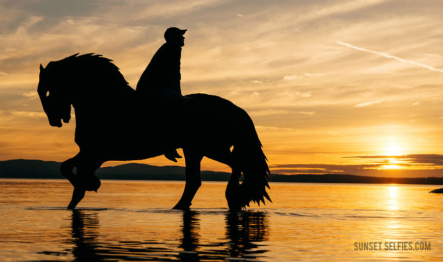I Turn Simple Cardboard Cutouts Into Magical Horse Silhouettes I Turn Simple Cardboard Cutouts Into Magical Horse Silhouettes