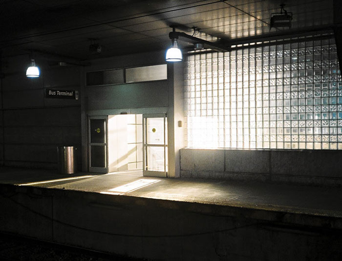 Photographer Challenges Herself To Shoot With A $1 Camera, Here Are The Results Photographer Challenges Herself To Shoot With A $1 Camera, Here Are The Results