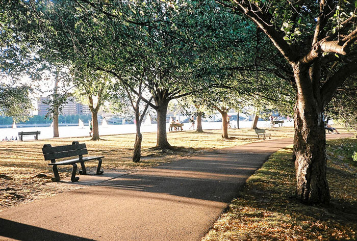 Photographer Challenges Herself To Shoot With A $1 Camera, Here Are The Results Photographer Challenges Herself To Shoot With A $1 Camera, Here Are The Results