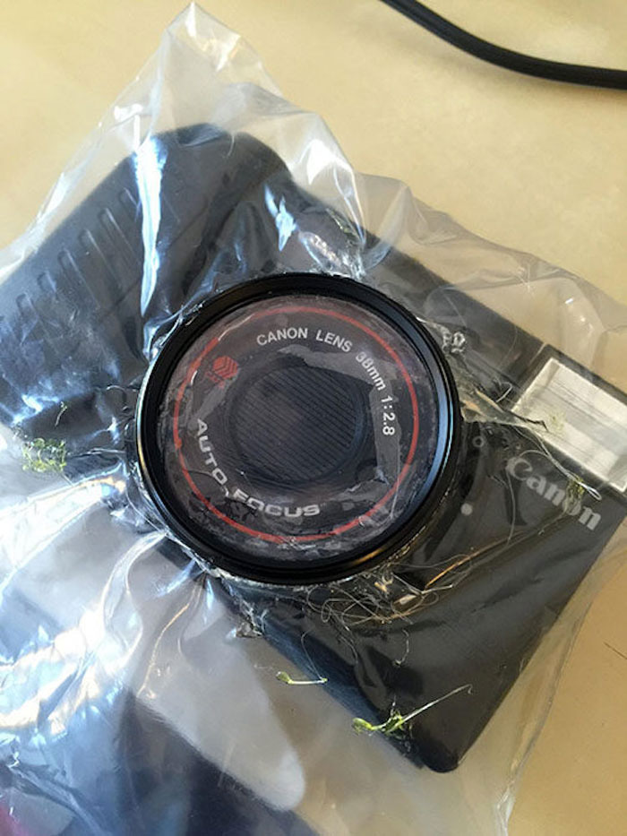 Photographer Challenges Herself To Shoot With A $1 Camera, Here Are The Results Photographer Challenges Herself To Shoot With A $1 Camera, Here Are The Results