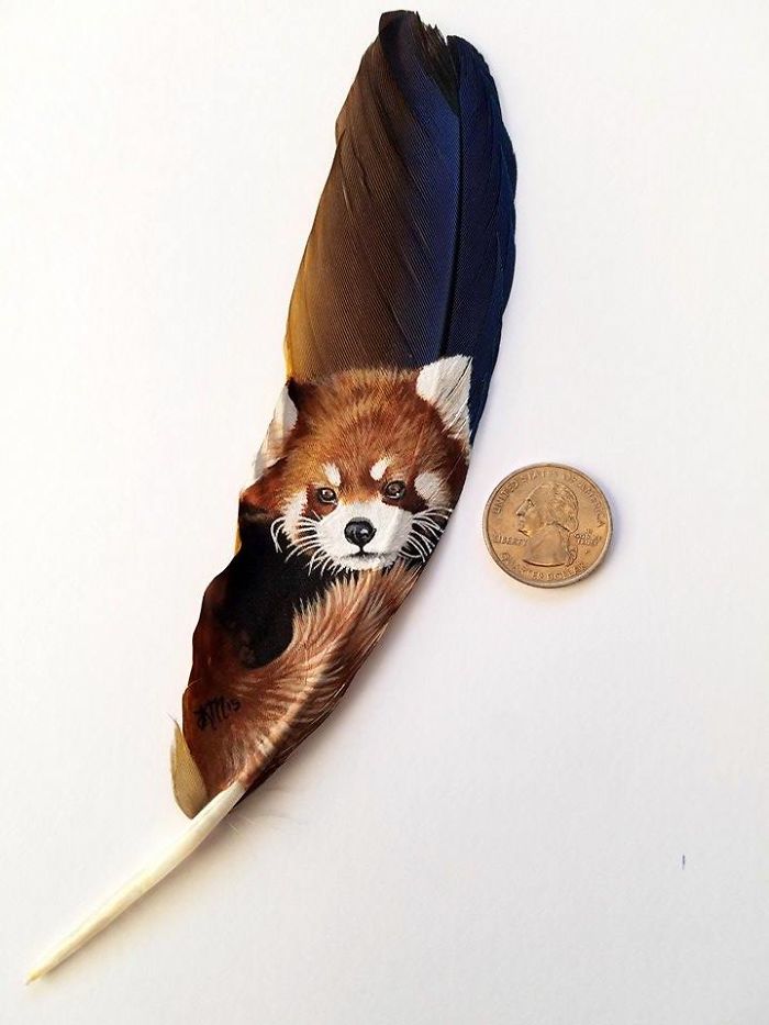 I Paint Realistic Animal Portraits On Delicate Feathers I Paint Realistic Animal Portraits On Delicate Feathers