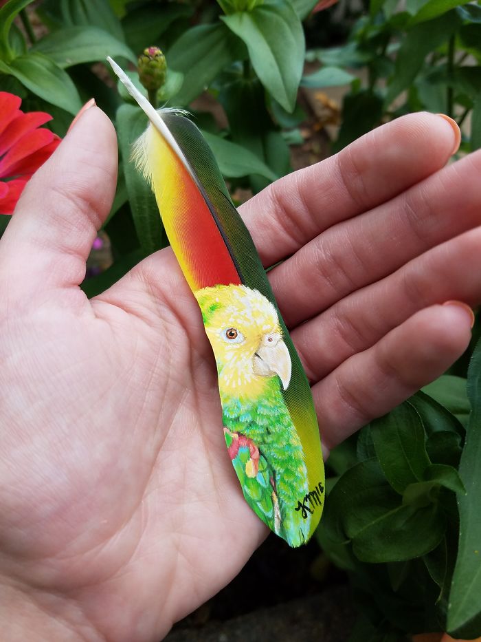 I Paint Realistic Animal Portraits On Delicate Feathers I Paint Realistic Animal Portraits On Delicate Feathers