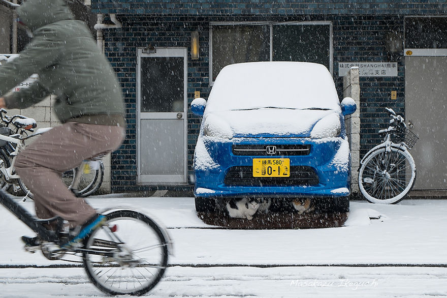 Top 147 Japan Street Photography Shots That Capture The Rarely Seen Side Of The Land Of The Rising Sun Top 147 Japan Street Photography Shots That Capture The Rarely Seen Side Of The Land Of The Rising Sun