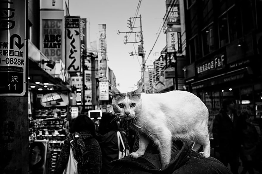 Top 147 Japan Street Photography Shots That Capture The Rarely Seen Side Of The Land Of The Rising Sun Top 147 Japan Street Photography Shots That Capture The Rarely Seen Side Of The Land Of The Rising Sun
