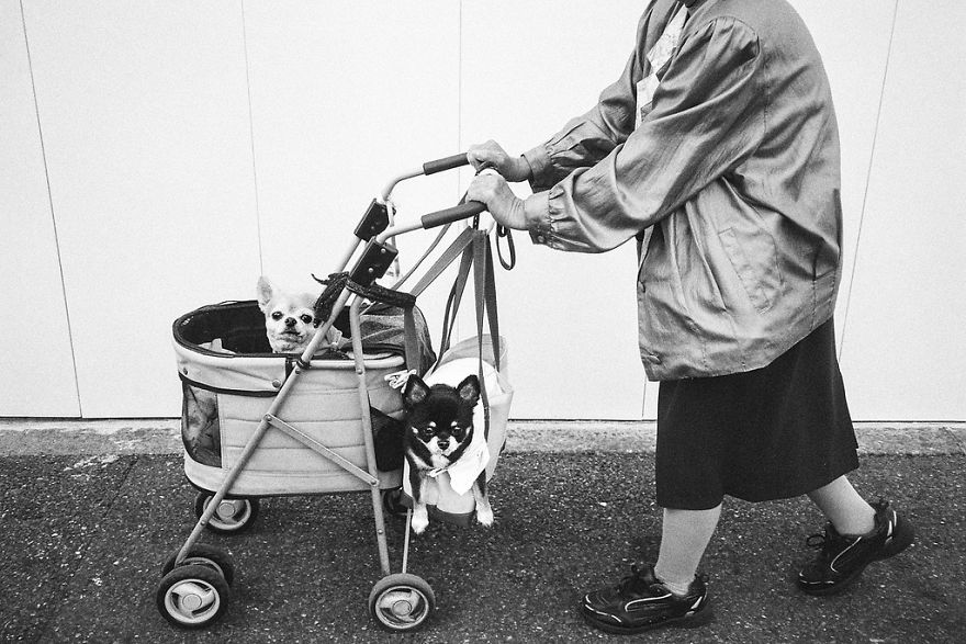 Top 147 Japan Street Photography Shots That Capture The Rarely Seen Side Of The Land Of The Rising Sun Top 147 Japan Street Photography Shots That Capture The Rarely Seen Side Of The Land Of The Rising Sun