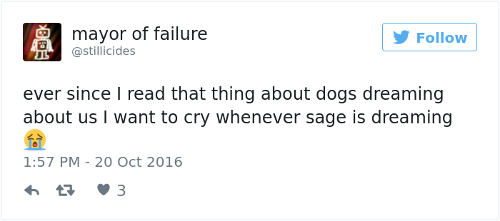 Experts Say Dogs Dream About Their Humans, People Can&#8217;t Stop Crying