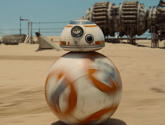 Spying Ceiling Cat Photoshop Battle Spying Ceiling Cat Photoshop Battle