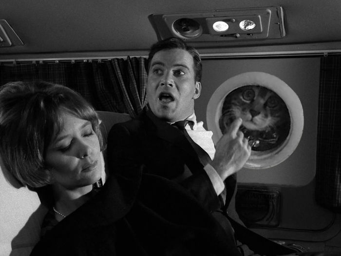 Spying Ceiling Cat Photoshop Battle Spying Ceiling Cat Photoshop Battle