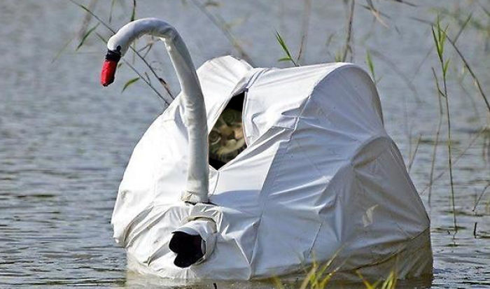 Spying Ceiling Cat Photoshop Battle