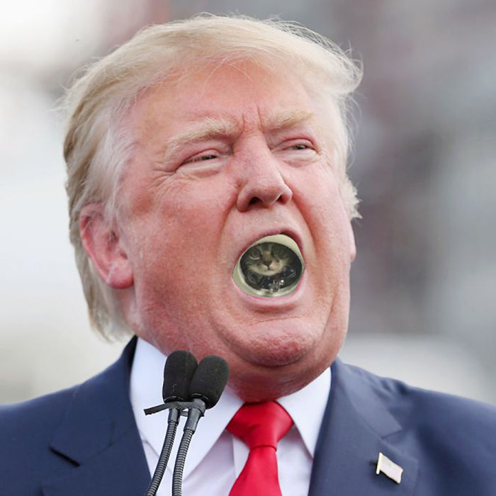 Spying Ceiling Cat Photoshop Battle Spying Ceiling Cat Photoshop Battle