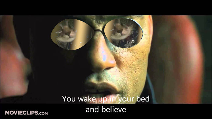 Spying Ceiling Cat Photoshop Battle Spying Ceiling Cat Photoshop Battle