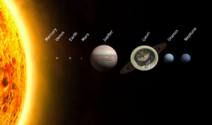 Spying Ceiling Cat Photoshop Battle