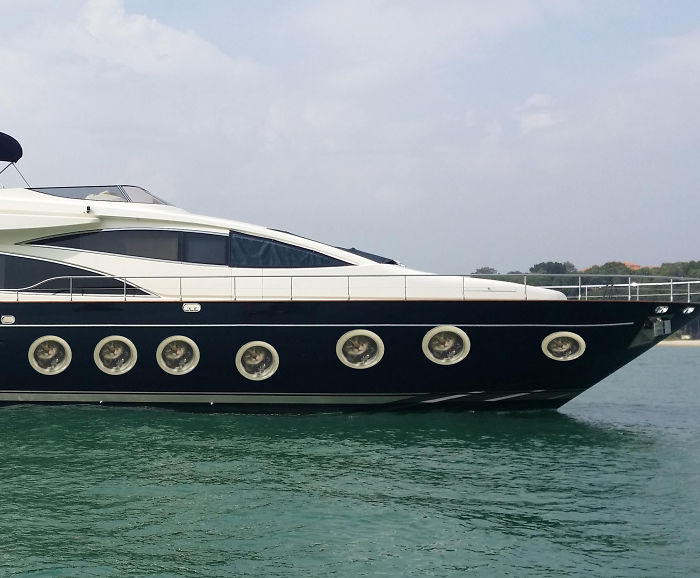 Spying Ceiling Cat Photoshop Battle