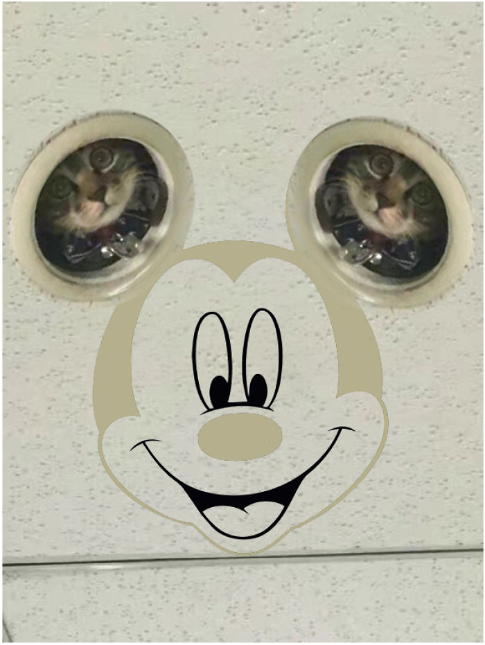 Spying Ceiling Cat Photoshop Battle Spying Ceiling Cat Photoshop Battle