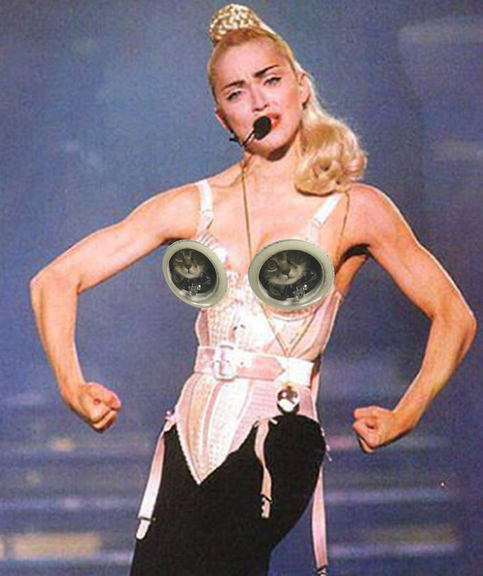 Spying Ceiling Cat Photoshop Battle Spying Ceiling Cat Photoshop Battle