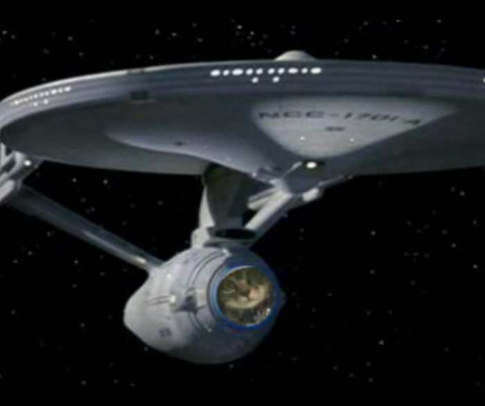 Spying Ceiling Cat Photoshop Battle Spying Ceiling Cat Photoshop Battle