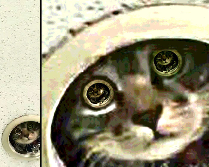 Spying Ceiling Cat Photoshop Battle