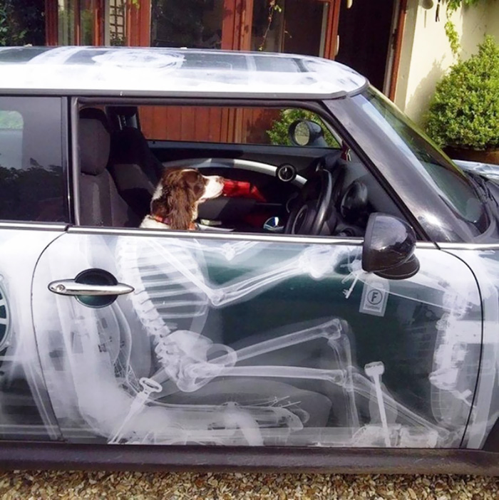 62 Of The Most Creative Car Owners Ever 62 Of The Most Creative Car Owners Ever