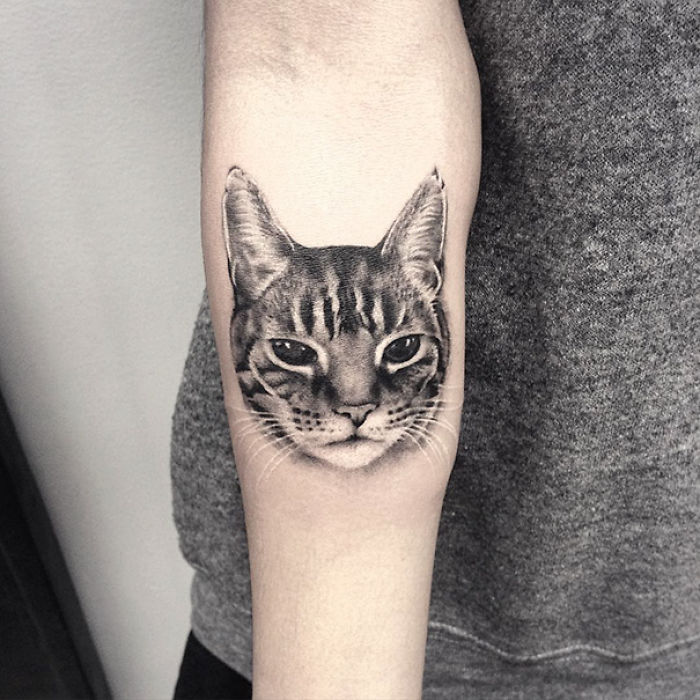 190 Cat Tattoo Ideas To Express Yourself As A Cat Person 190 Cat Tattoo Ideas To Express Yourself As A Cat Person