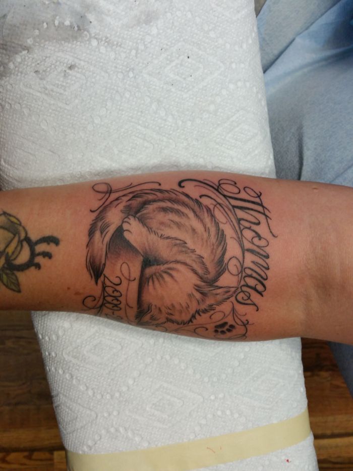 190 Cat Tattoo Ideas To Express Yourself As A Cat Person 190 Cat Tattoo Ideas To Express Yourself As A Cat Person