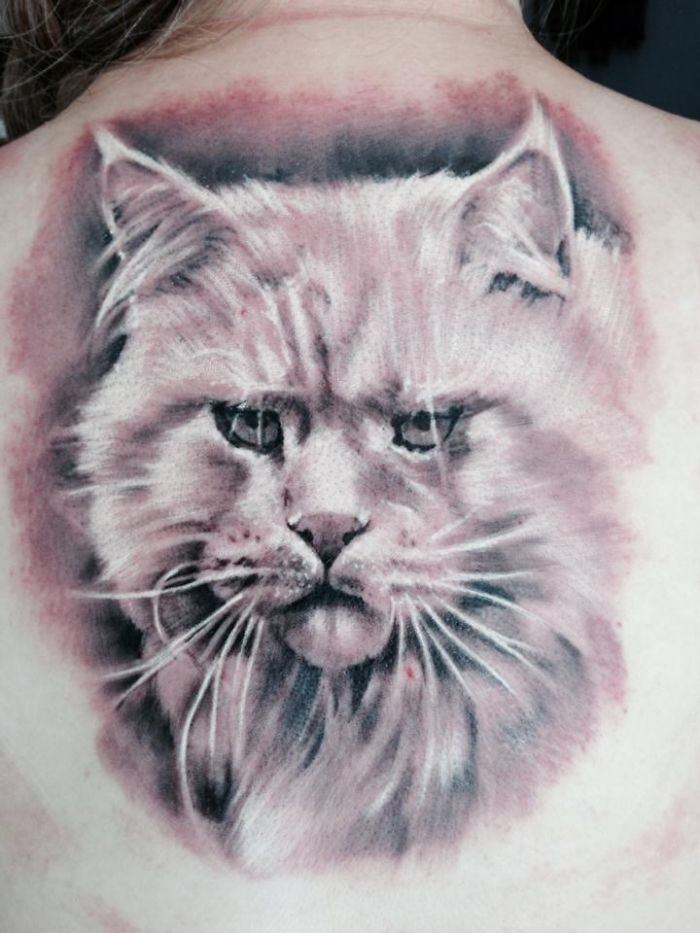 190 Cat Tattoo Ideas To Express Yourself As A Cat Person 190 Cat Tattoo Ideas To Express Yourself As A Cat Person