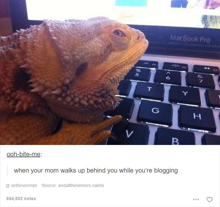 64 Animal Posts On Tumblr That Are Impossible Not To Laugh At 64 Animal Posts On Tumblr That Are Impossible Not To Laugh At